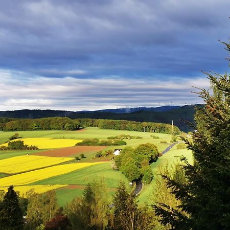 Geraeumige 2-Z Wohnung Im Gruenen, Garten, Terrasse, Ruhig, Natur, Phantastischer Blick! Marburg Exterior foto
