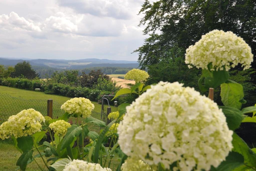 Geraeumige 2-Z Wohnung Im Gruenen, Garten, Terrasse, Ruhig, Natur, Phantastischer Blick! Marburg Exterior foto